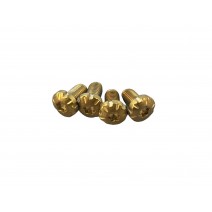 Bul 1911 Screw Grip Torx Star Gold