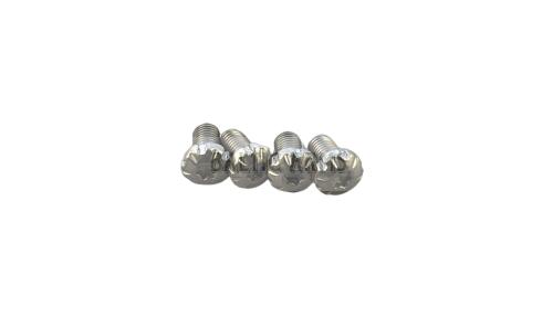 Bul 1911 Screw Grip Torx Star Silver